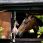 LeMieux Paardenspeeltje Giraf met bungelende poten van touw