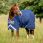 Rhino Lite