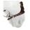 Silver Crown neusriem X Nose