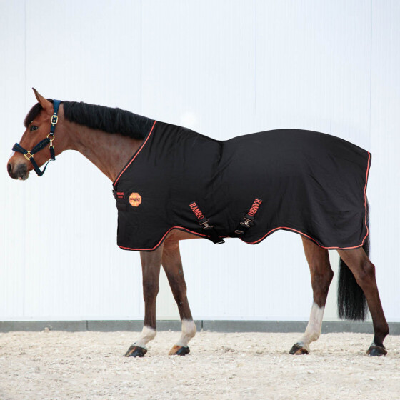 Sommerdecke Rambo Ionic Dochorse