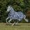 Bucas Eczeemdeken Zebra
