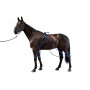 Equine legcooler 4 beine