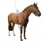 Equine legcooler base plus 