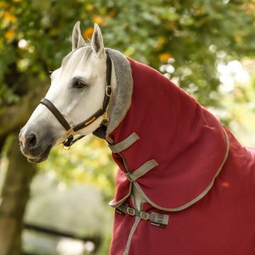 Dominick Cosy Hood Bordeaux Warm