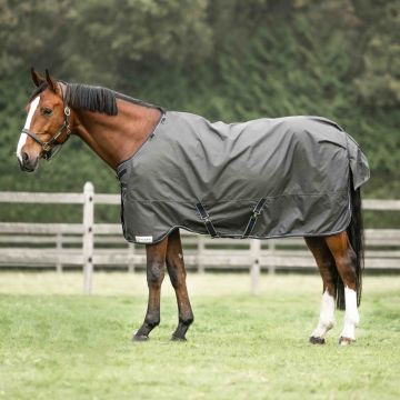 Dominick Regendecke 600D Cosy