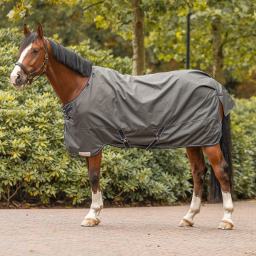 Dominick Regendecke 600D Cosy