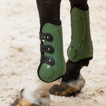 QHP Tendon Boots Champion 