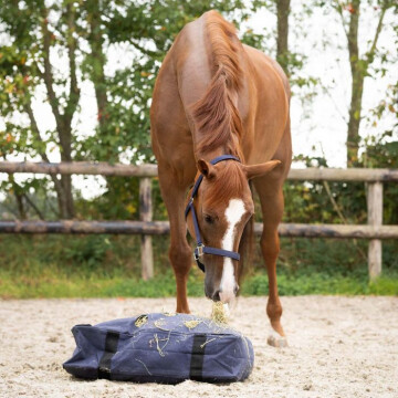 QHP Hay Pillow Navy