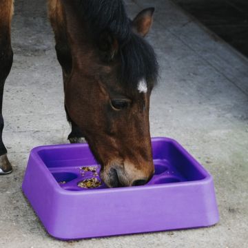 Hippotonic Feeder Guard-Dual Purple