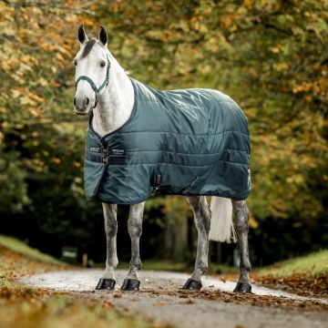 Amigo Diamond Insulator 200 G