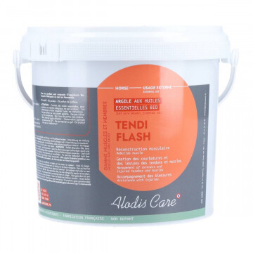 Alodis Tendi Flash 
