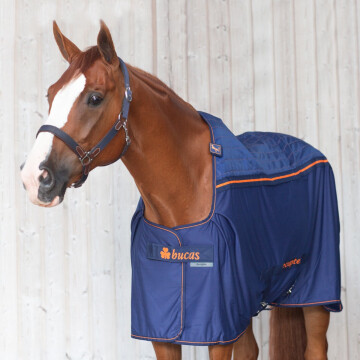 Bucas Therapy Pony