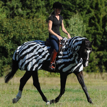 Bucas buzz off riding zebra