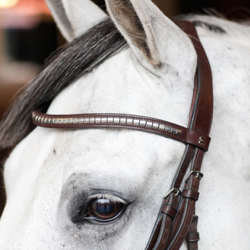Döbert Stirnriemen Studs