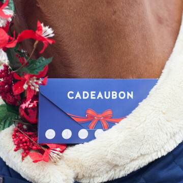 Dochorse geschenkgutschein 15.- Euro