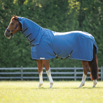 Dominick Summer Sheet