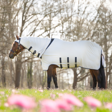 Dominick Eczeemdeken Elastic
