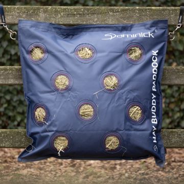 Dominick Hay Buddy Paddock Front