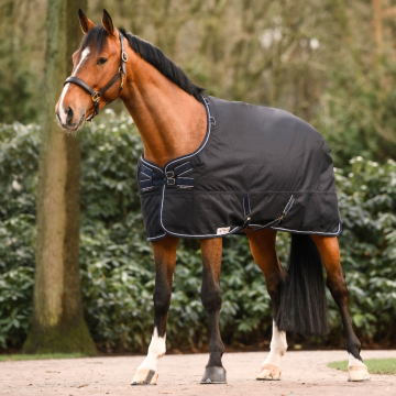 Dominick Outdoor Rug Heavy