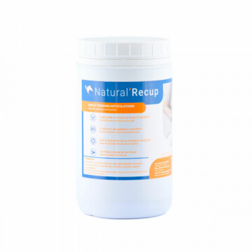 Natural Innov Natural Recup 1.2KG