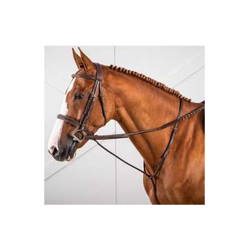 dyon hunter martingaal