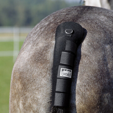 Eskadron Schweifschoner
