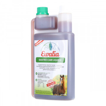 Ewalia Magen flüssig 1000ML