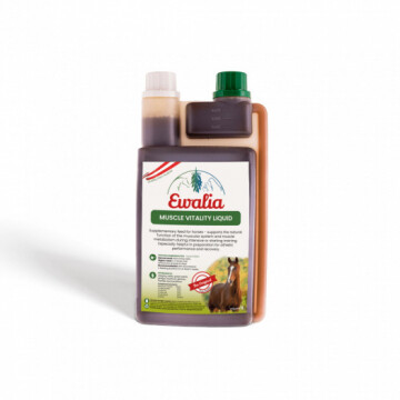 Ewalia Muskel flüssig 1000ML