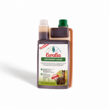 Ewalia Bewegungs flüssig 1000ML