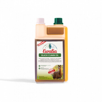 Ewalia Schwarzkümmelöl 1000ML