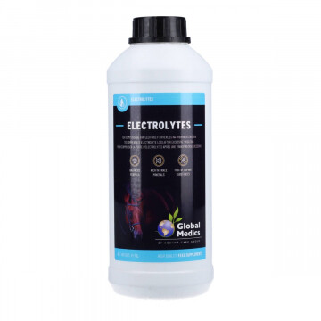 Global Medics Electrolytes Liquid