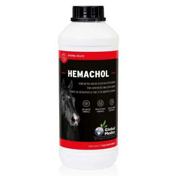 Global medics hemachol