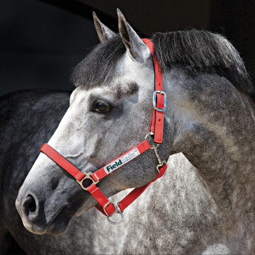Horseware fieldsafe halfter