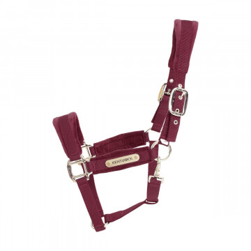 Kentucky velvet headcollar