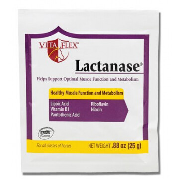 Lactanase Poeder