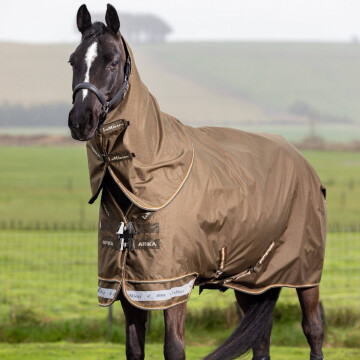 Lemieux Arika 600D Winter Rug Alpine 100G