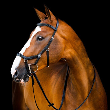 Horseware Micklem 2 Multi Bridle - Zaumzeug 