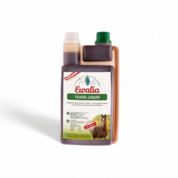 Ewalia Teasel flüssig 1000ML