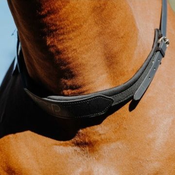 Norton Bareback Neckrope