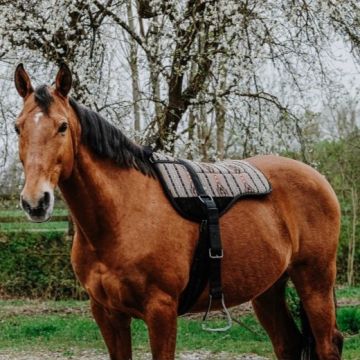 Norton Bareback Pad Kiowa