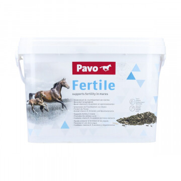 Pavo fertile