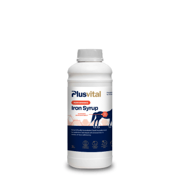 Plusvital Eisen-Sirup