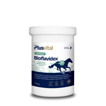 Plusvital Bioflavidex