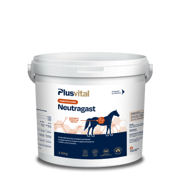 Plusvital Neutragast