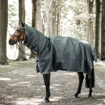 Kentucky regendecke 