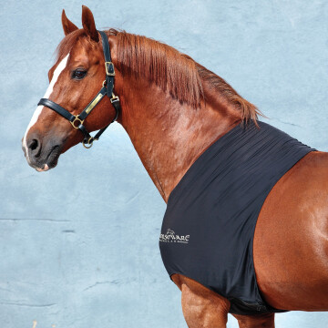Rambo slinky shoulder