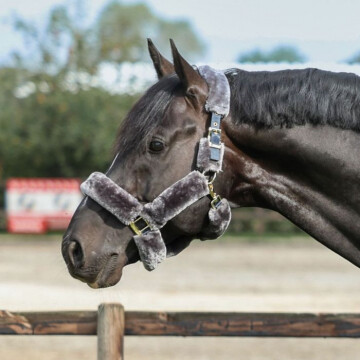Bucas Show-Line Full Fur Halter