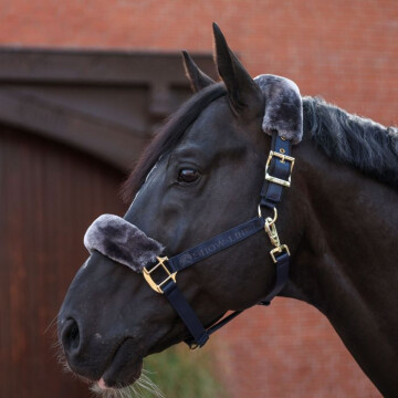 Bucas Show-Line Half Fur Halter 