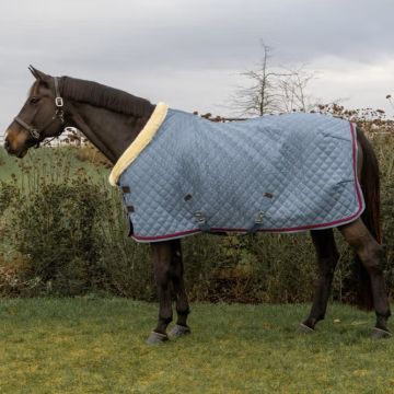 Kentucky Show Rug