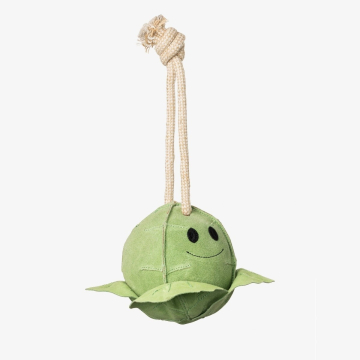 Lemieux Paardenspeeltje Sprout